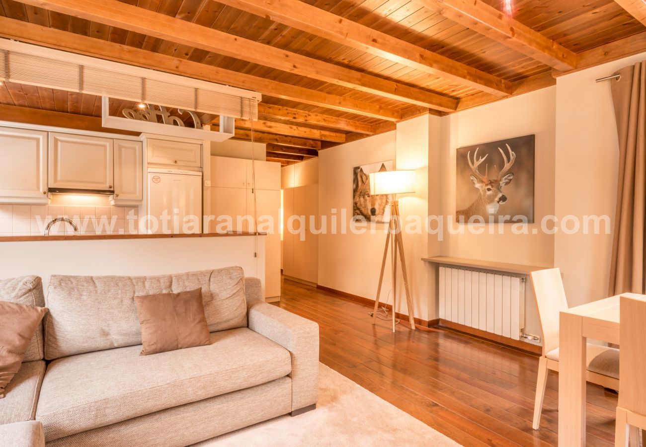 Apartamento en Baqueira - Costarjas by Totiaran