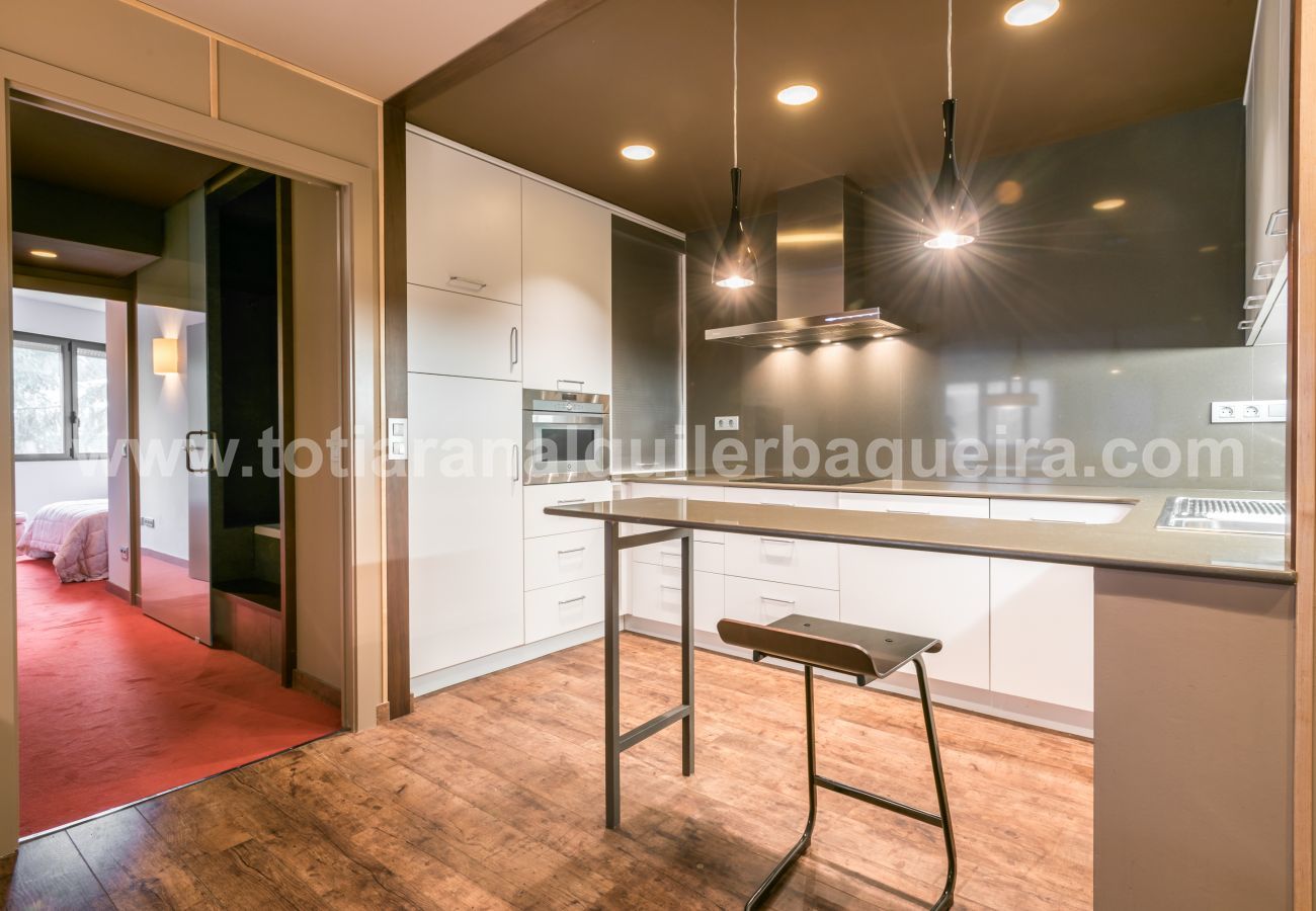 Apartamento en Baqueira - Argulls by Totiaran