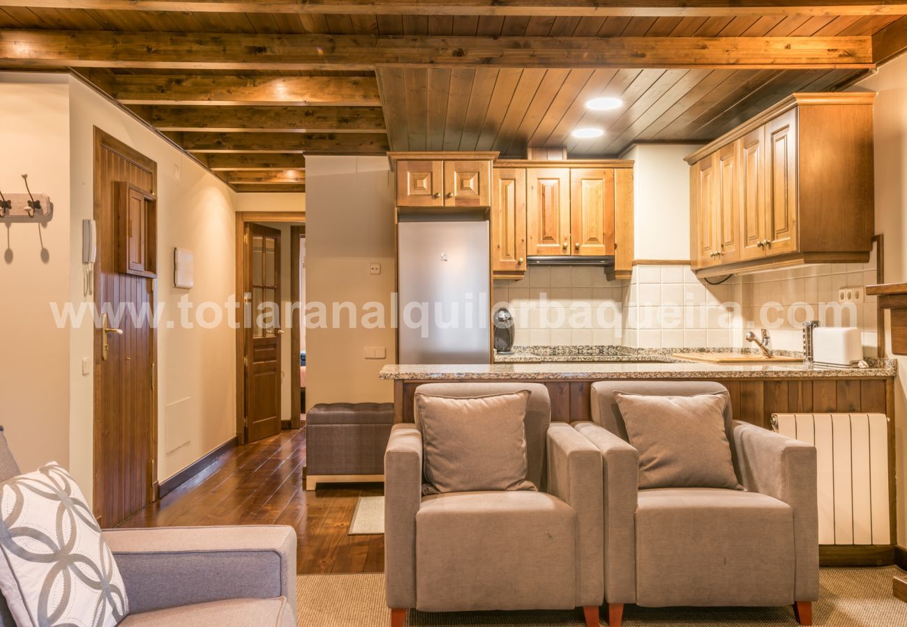 Apartamento en Baqueira - Invernalia by Totiaran