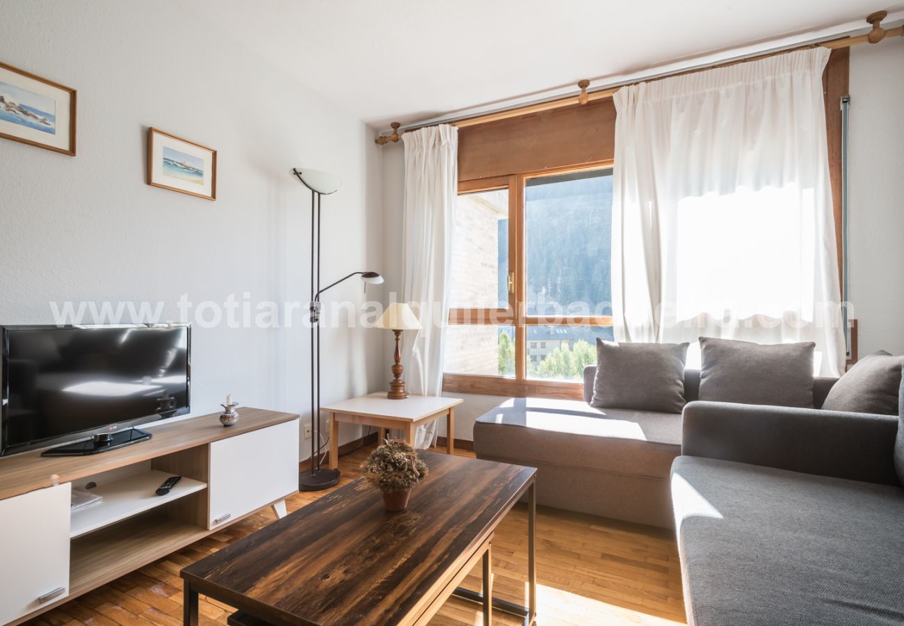 Apartamento en Baqueira - Bandolers by Totiaran