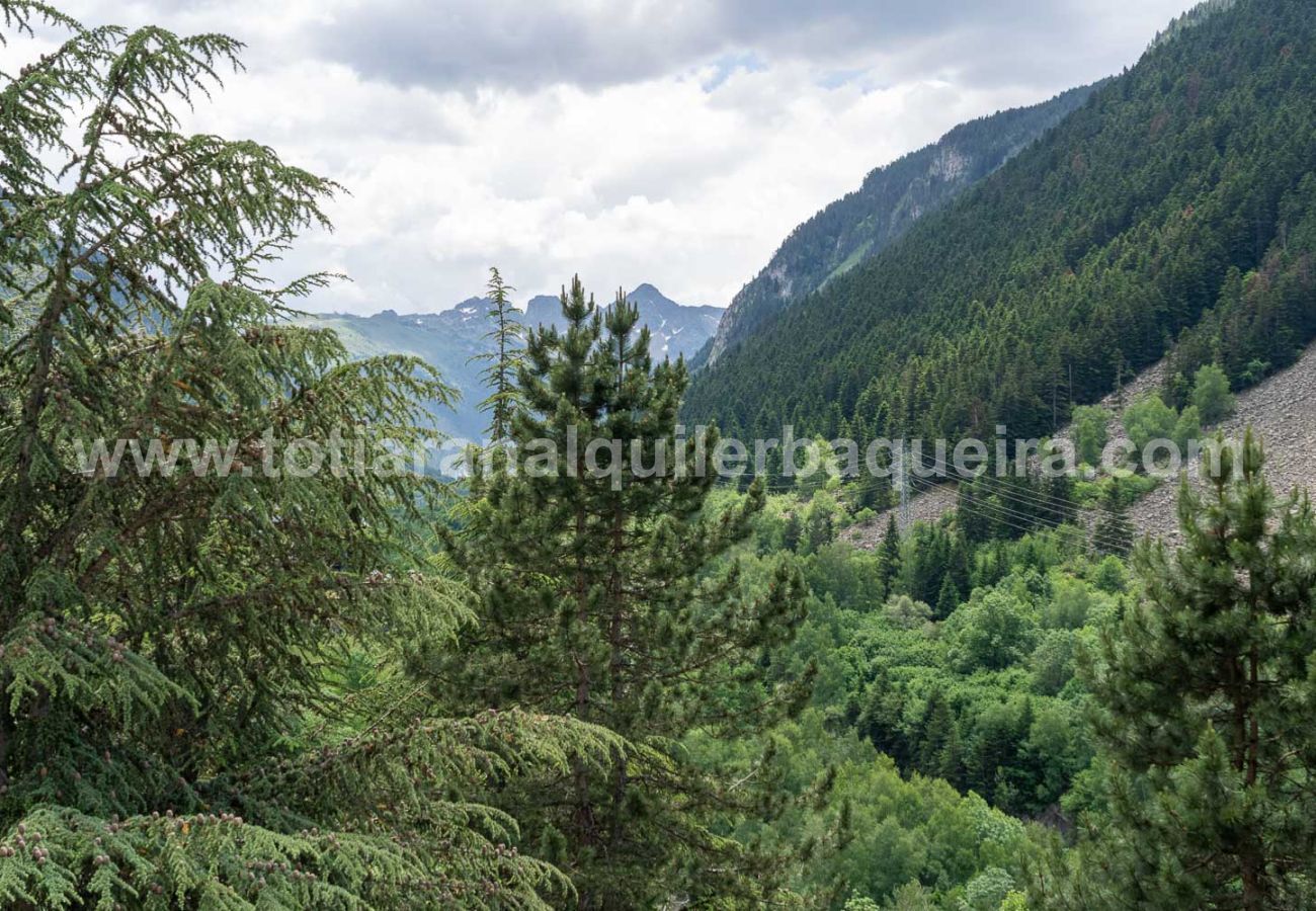 Apartamento en Baqueira - Escornacrabes by totiaran