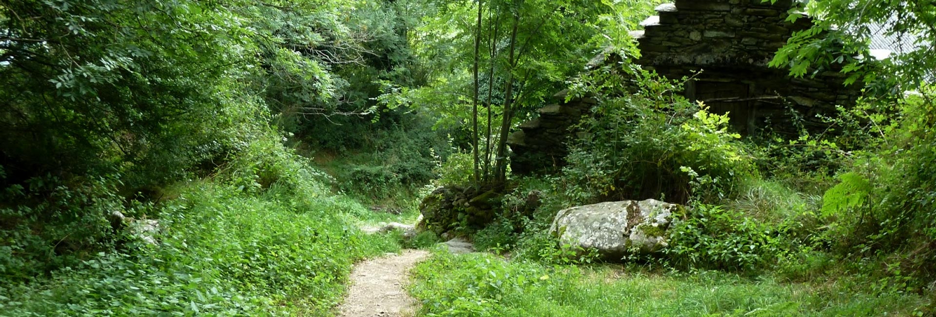 bosquecarlac
