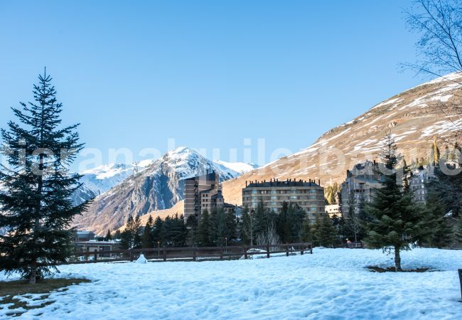 Apartment in Baqueira - Comalada By Totiaran