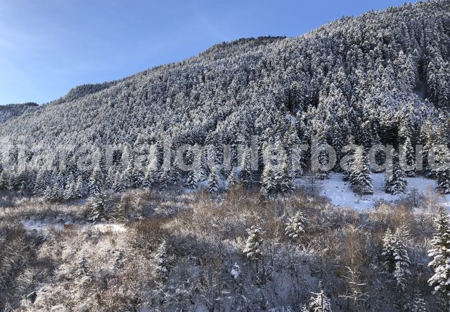 Apartment in Baqueira - Tubo Nere by Totiaran