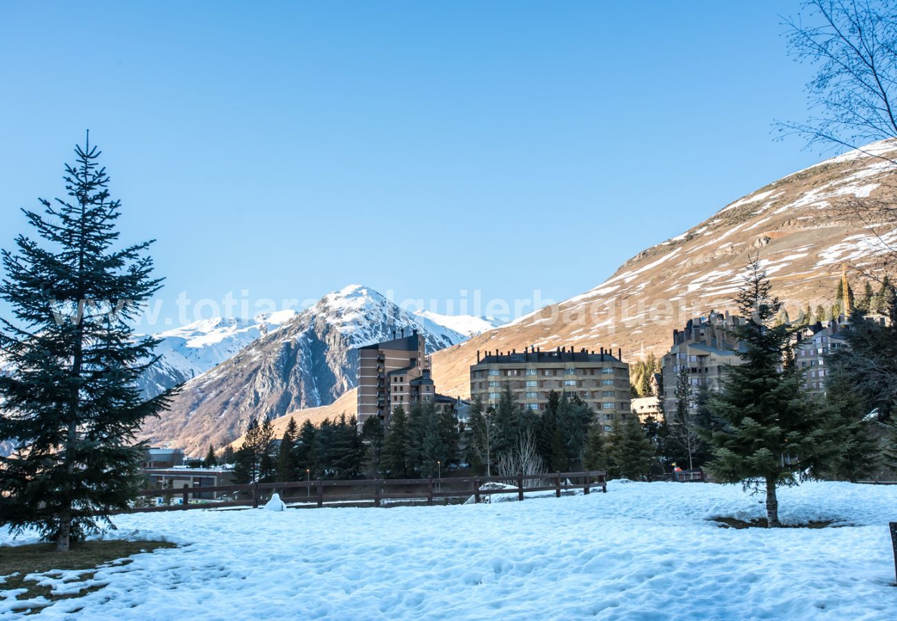 Apartment in Baqueira - Comalada By Totiaran