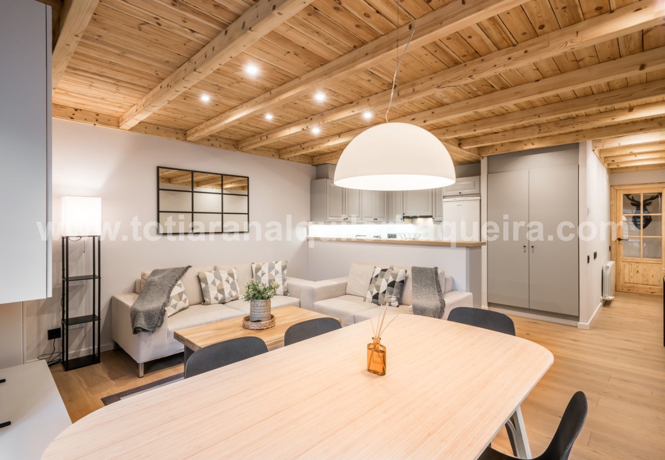 Apartment in Baqueira - Salenques by Totiaran