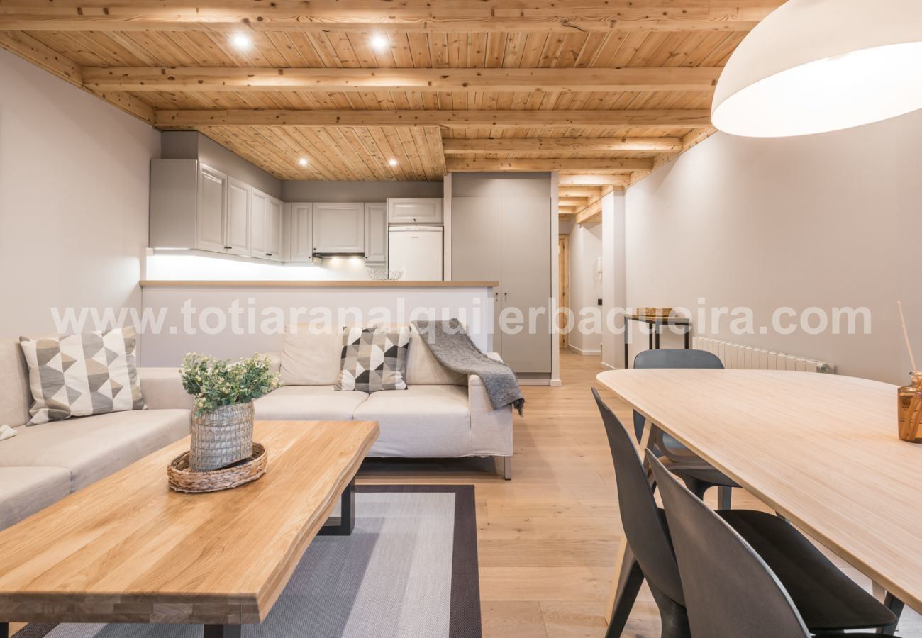 Apartment in Baqueira - Salenques by Totiaran