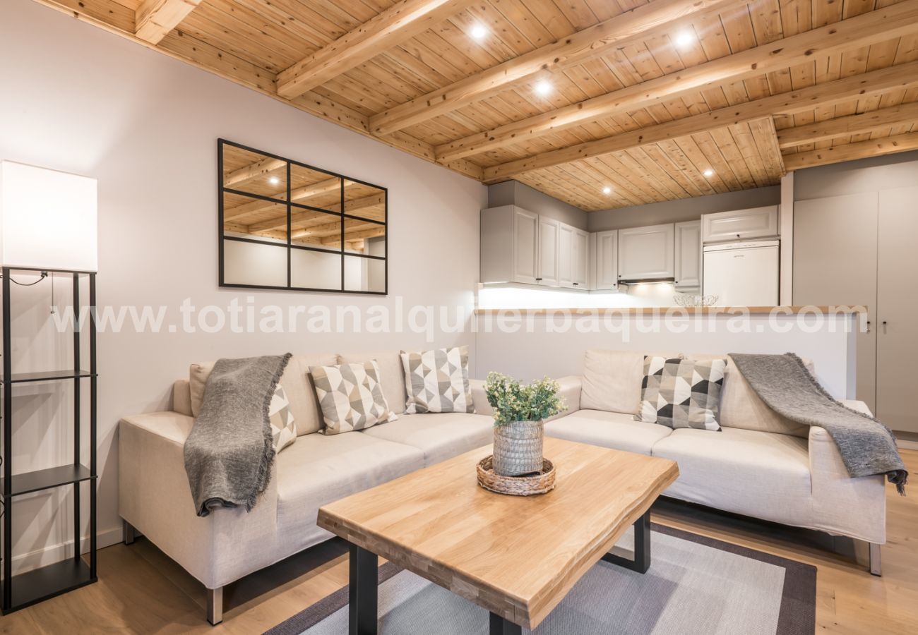 Apartment in Baqueira - Salenques by Totiaran