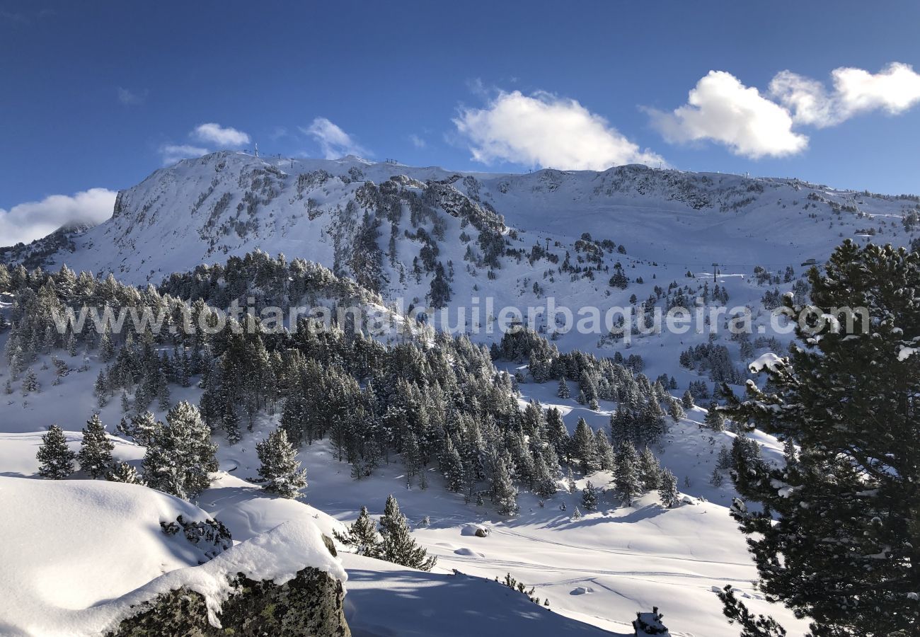 Apartment in Baqueira - Tubo Nere by Totiaran