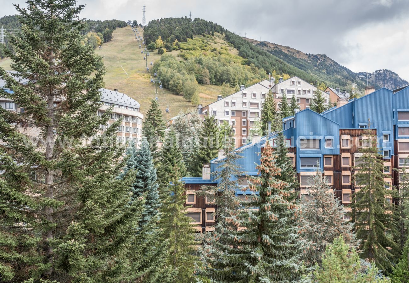 Apartment in Baqueira - Laujo by Totiaran