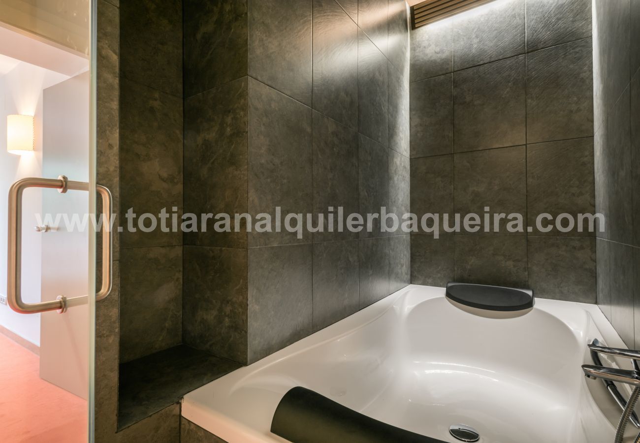 Apartment in Baqueira - Argulls by Totiaran