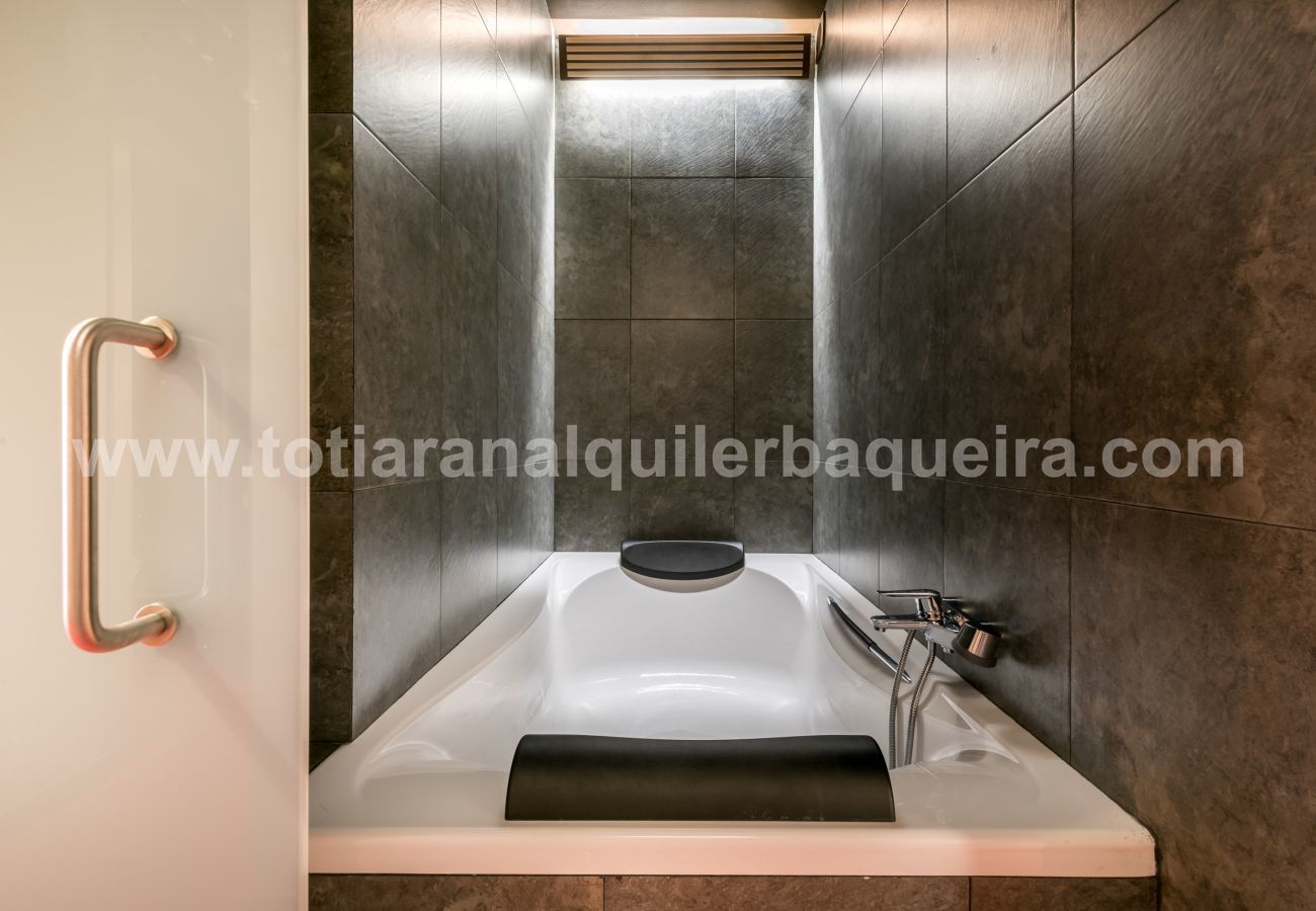 Apartment in Baqueira - Argulls by Totiaran