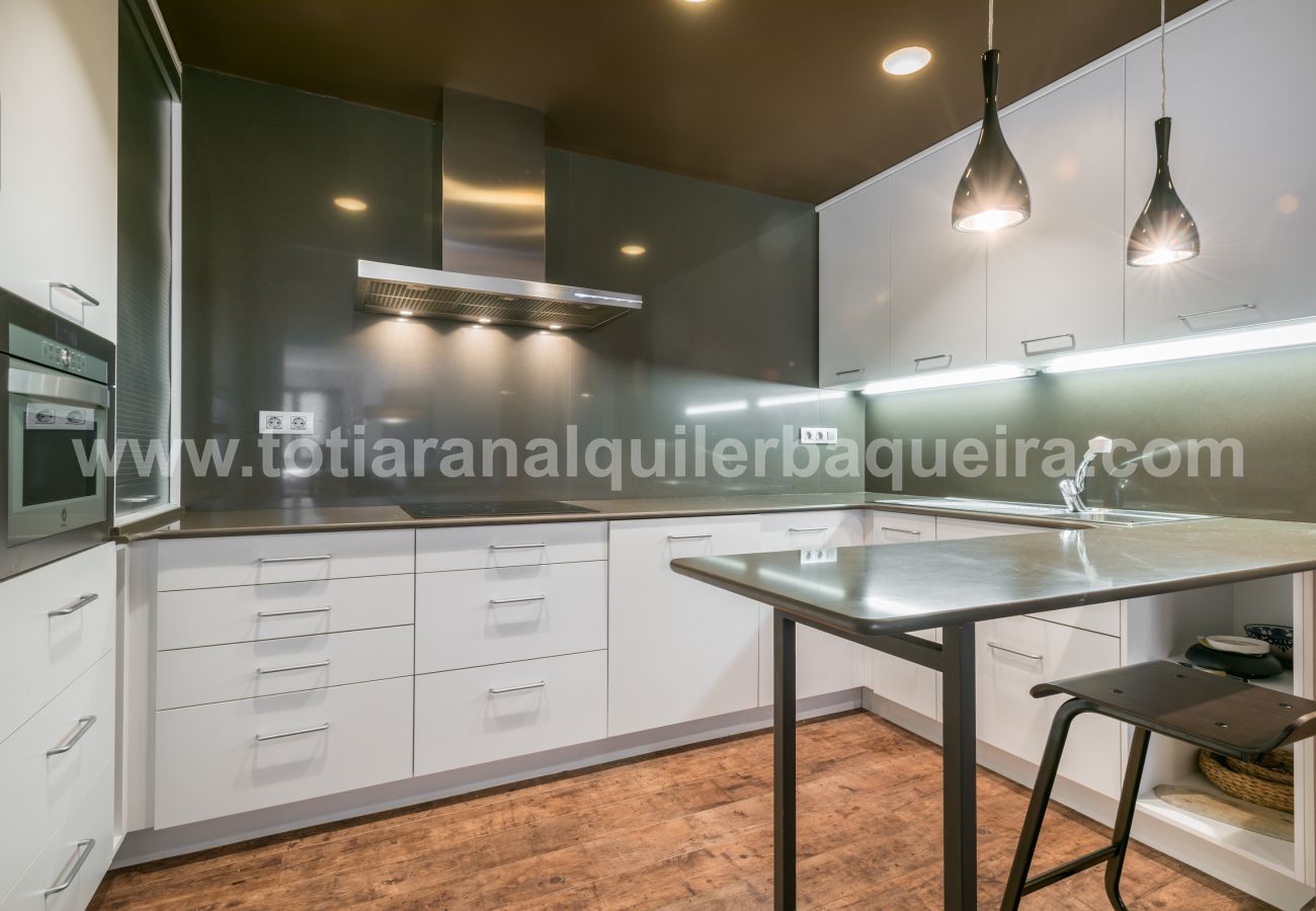 Apartment in Baqueira - Argulls by Totiaran