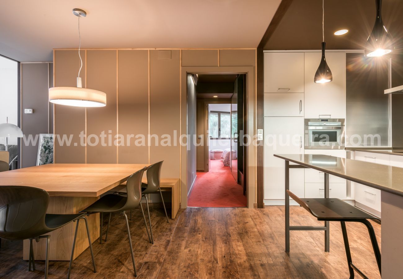 Apartment in Baqueira - Argulls by Totiaran