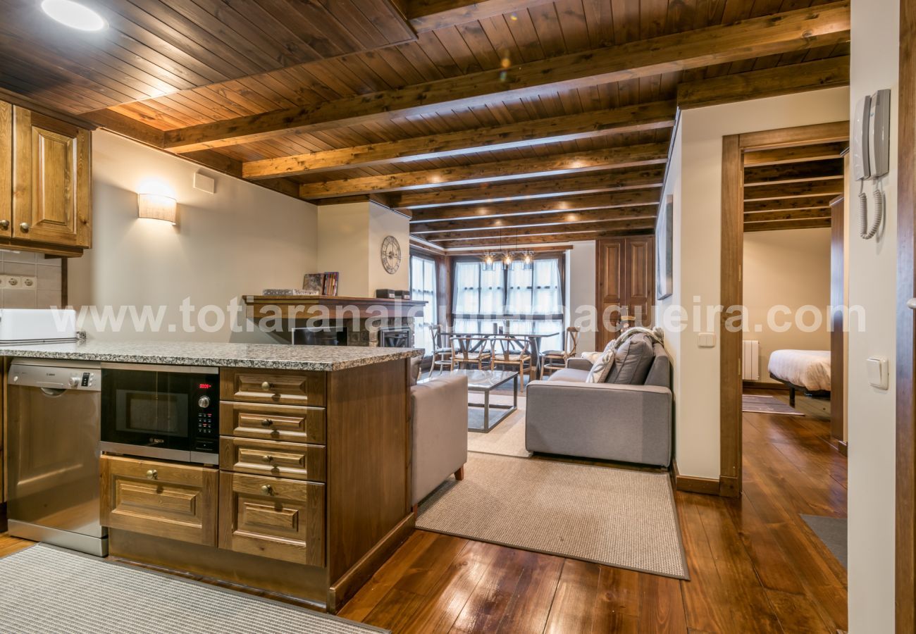 Apartment in Baqueira - Invernalia by Totiaran