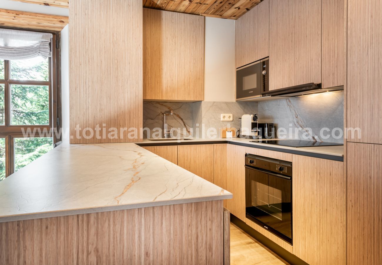 Apartment in Baqueira - Molieres by Totiaran