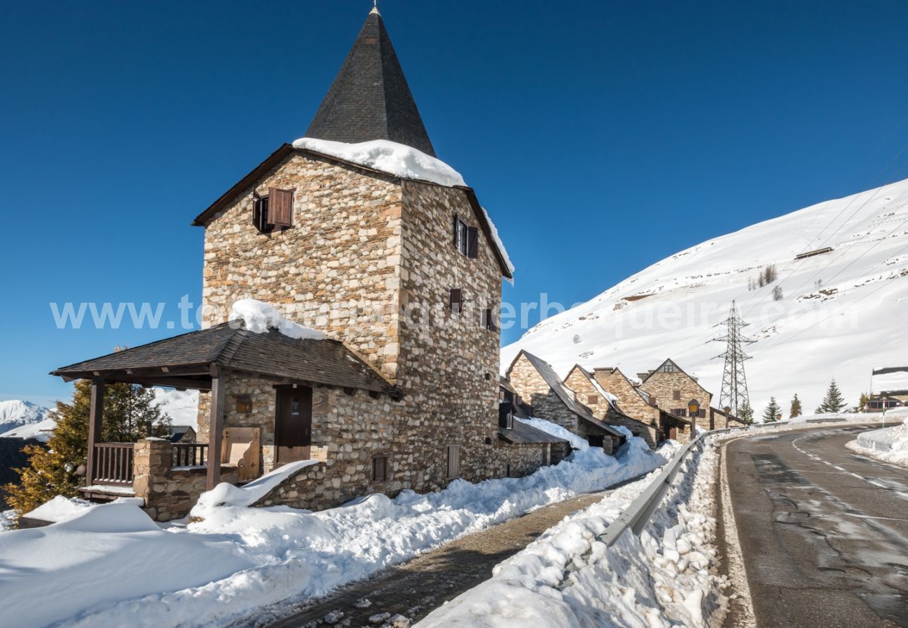 House in Baqueira - Casa Pleta de Baqueira Deluxe by Totiaran