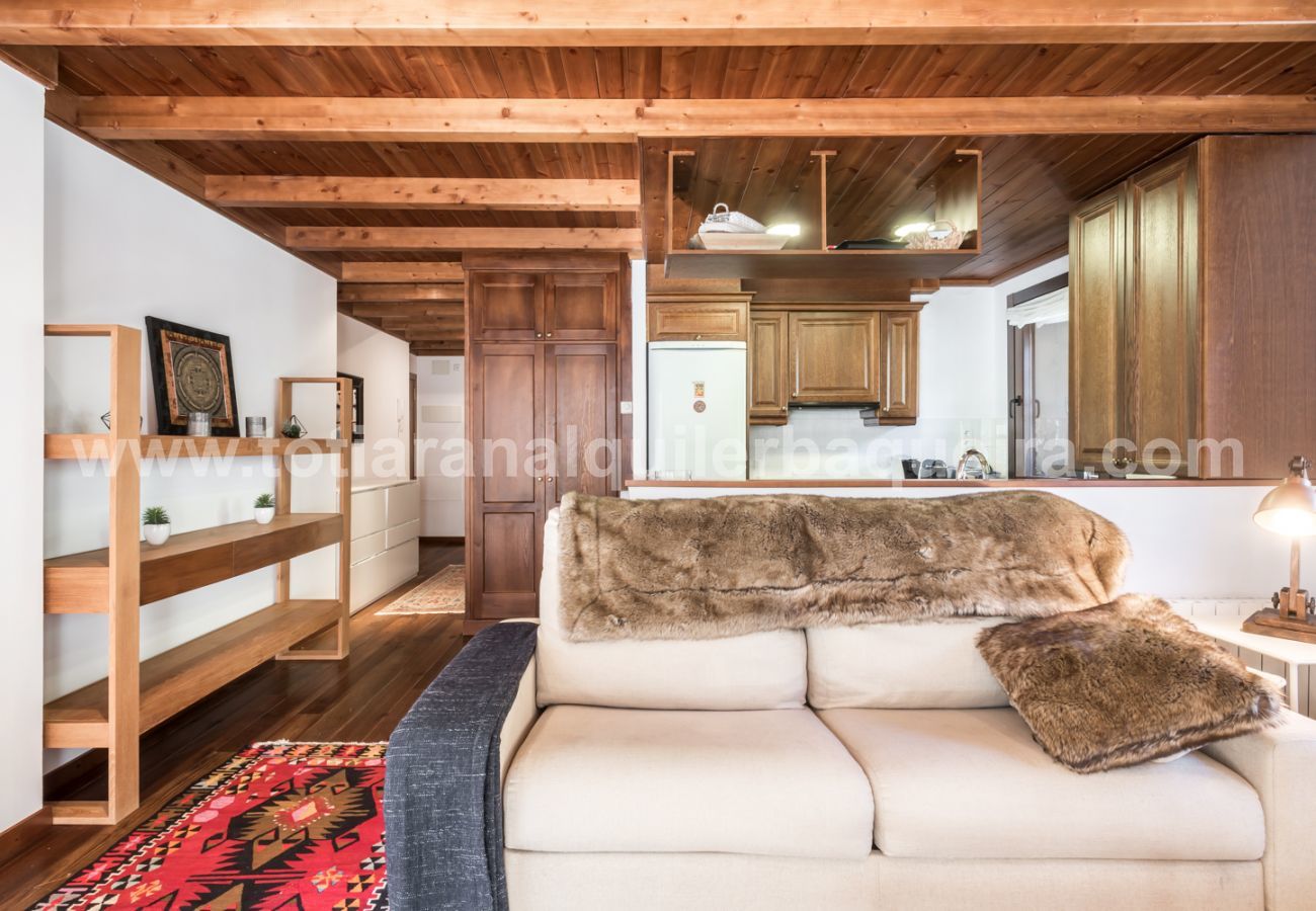 Apartment in Baqueira - Baciver by Totiaran