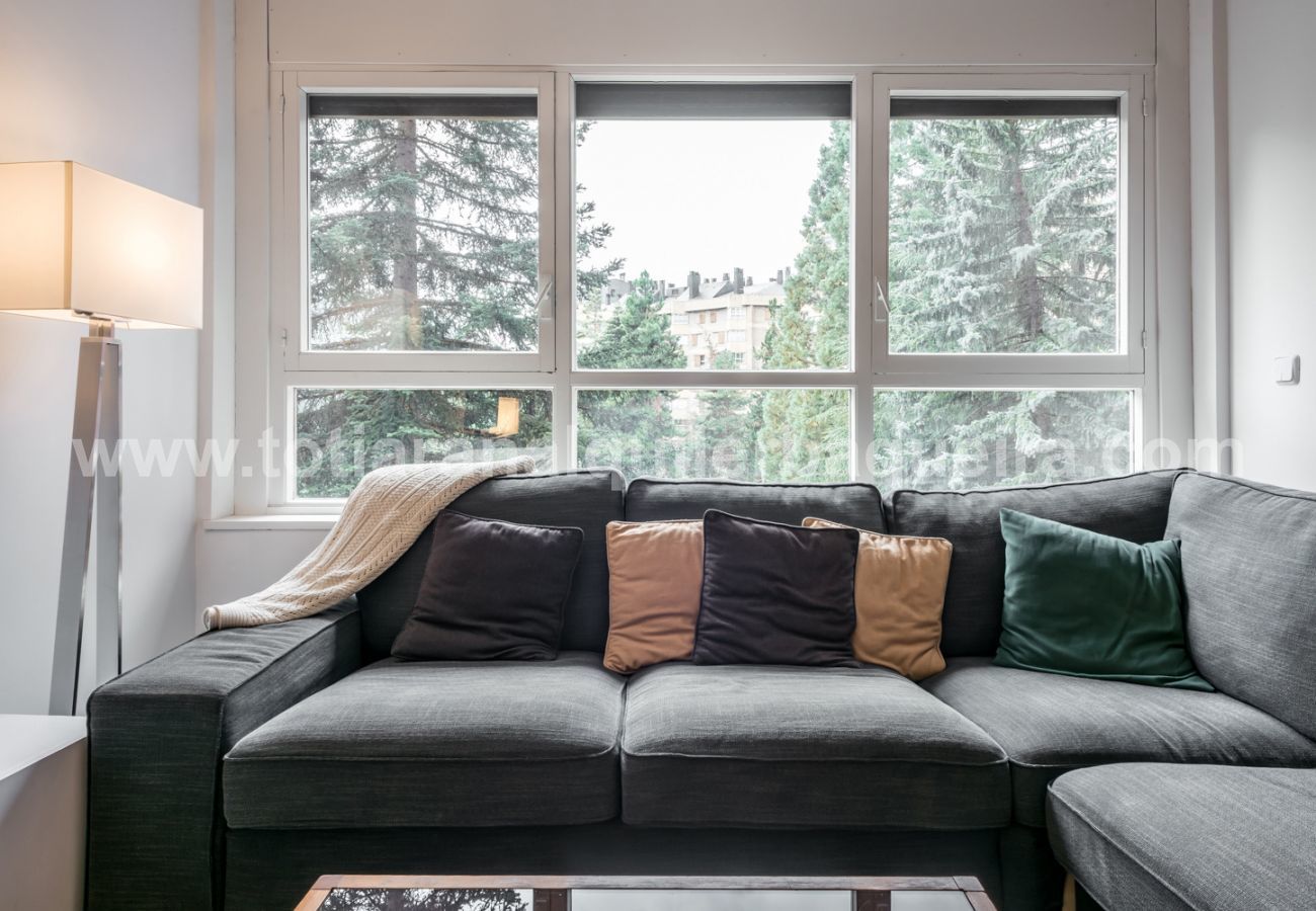 Dining room of the Era Piusa by Totiaran apartment. Baqueira center.