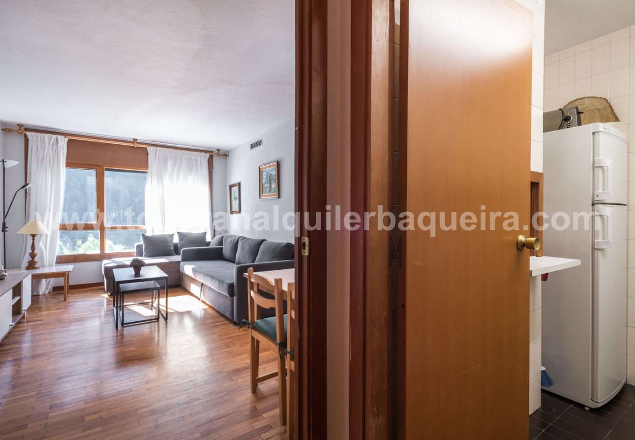 Apartment in Baqueira - Bandolers by Totiaran