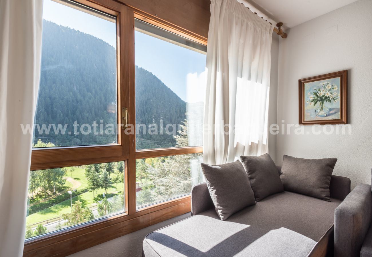 Apartment in Baqueira - Bandolers by Totiaran