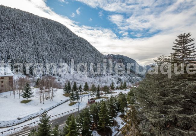 Appartement à Baqueira - Carlac by Totiaran Appartement à Baqueira - Carlac by Totiaran