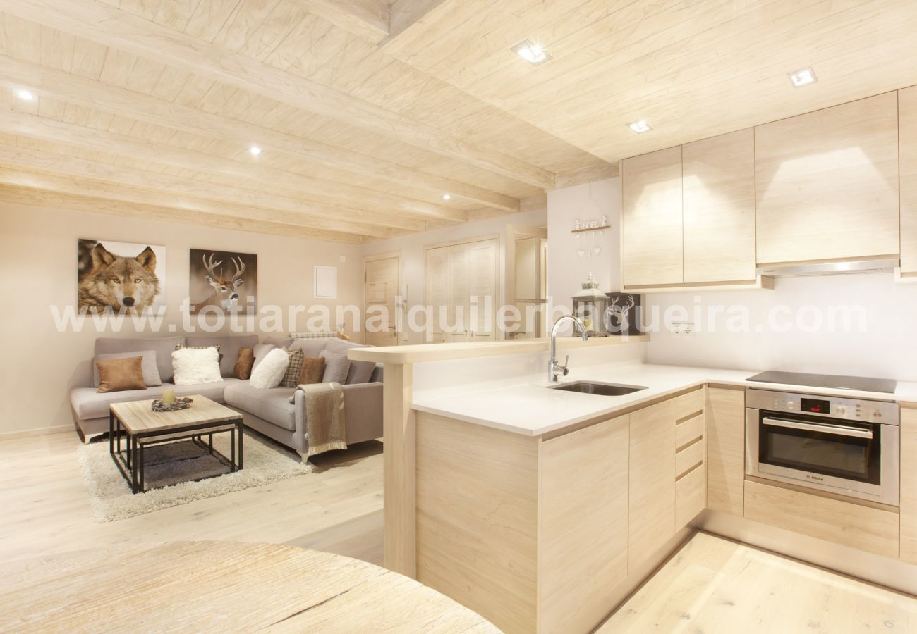 Appartement à Baqueira - Sanglier by Totiaran