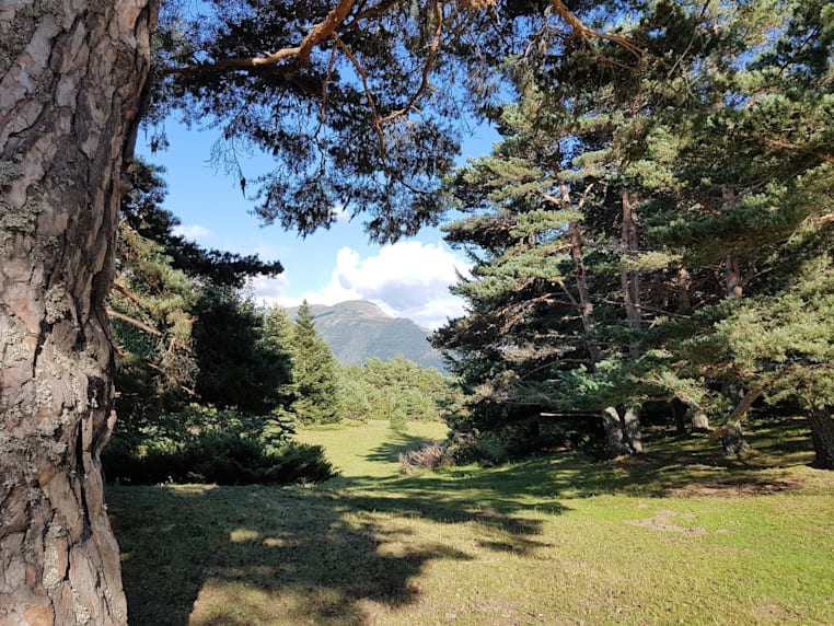 Bassa d’Oles Lake in the Val d'Aran, family-friendly excursion
