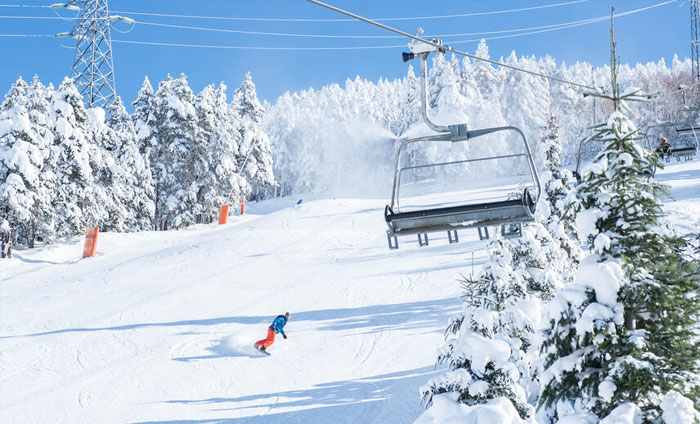 winter vacation